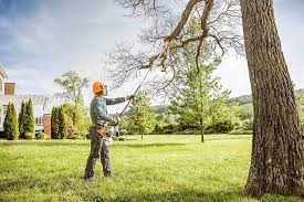 How Our Tree Care Process Works  in  Glendale, WI