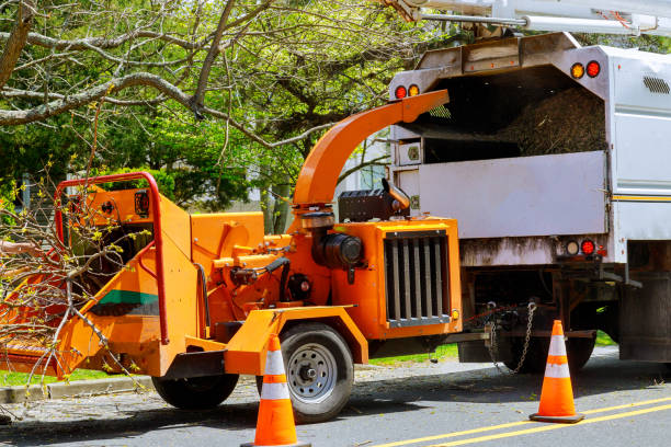 Best Commercial Tree Services  in Glendale, WI