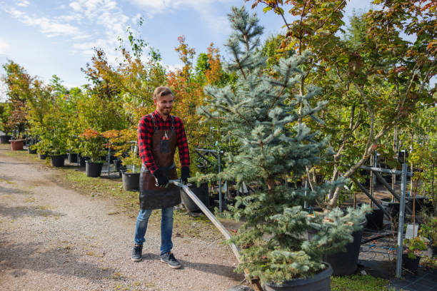 Glendale, WI Tree Removal Company